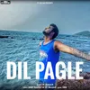 About Dil Pagle Song